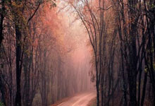 中国首位F1学院外卡车手师炜——“速度与激情” 不止于赛道（运动人生）人民日报.