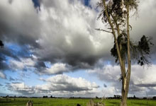 全尤文：利物浦有意引进国米后卫德弗赖，球员不太可能续约.