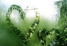 巅峰国际官网：CBA更新注册！皮特森取代黑根斯补强关键球，伯顿进名单迎检验！.